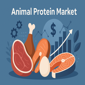 Animal Protein Market