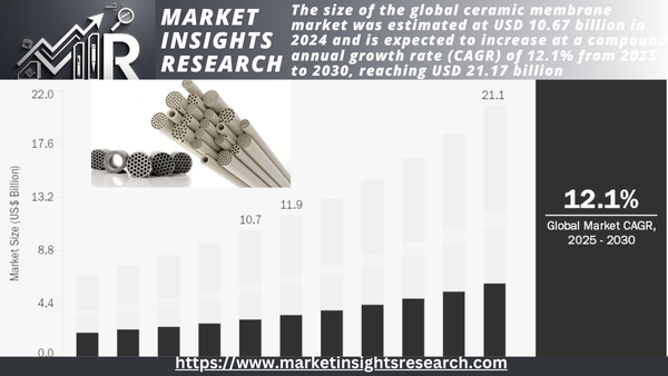 Ceramic Membrane Market