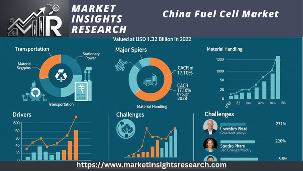 China Fuel Cell Market