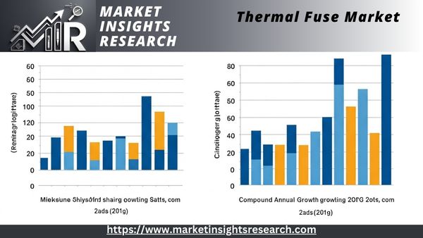 Thermal Fuse Market